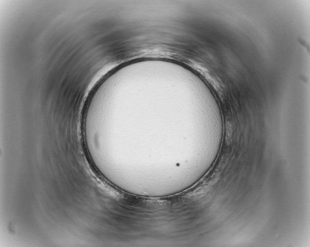 X0000093361331200711081506