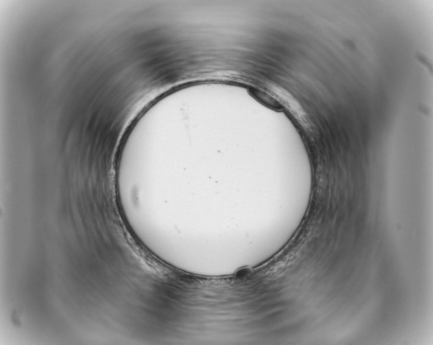 X0000093361332200711081506