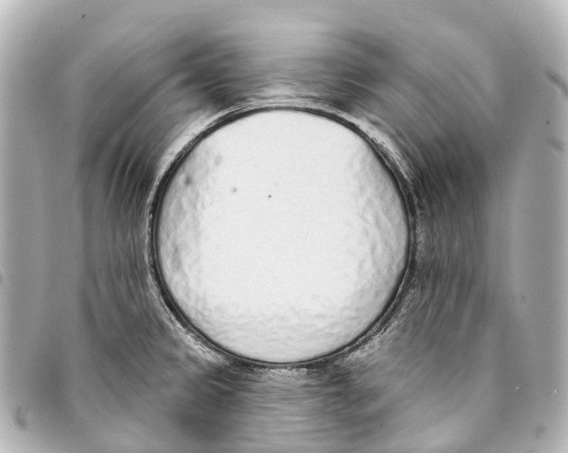 X0000093361333200711081506