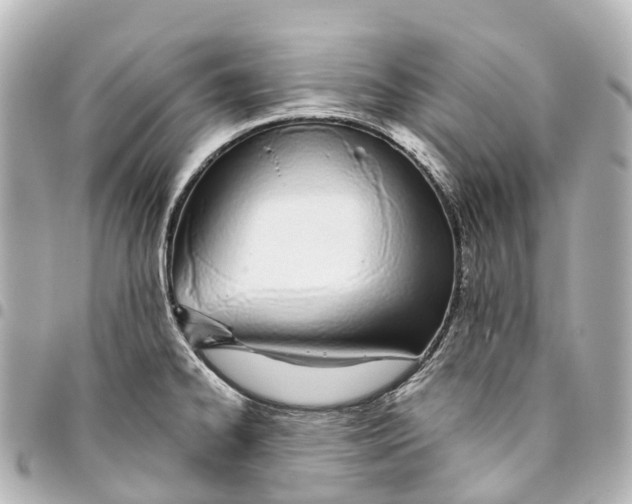 X0000093361334200711081506