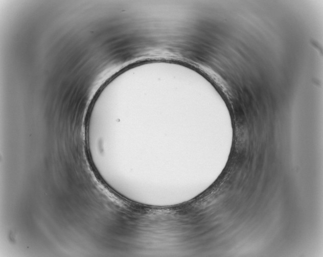 X0000093361335200711081506