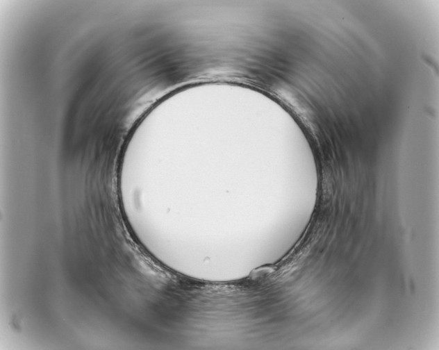 X0000093361336200711081506