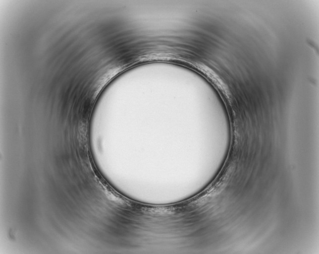 X0000093361337200711081506
