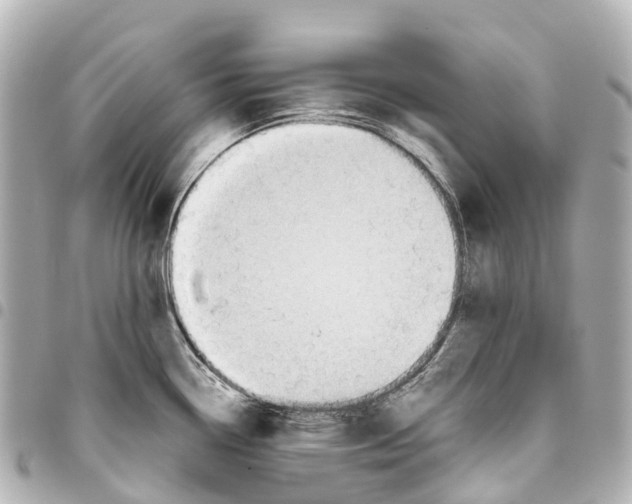 X0000093361338200711081506