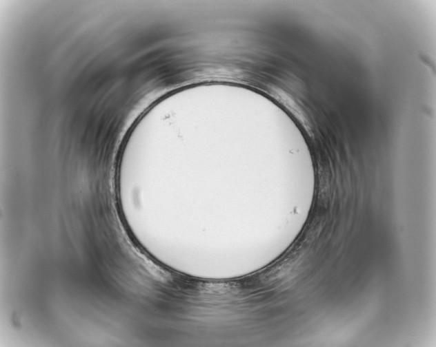 X0000093361339200711081506