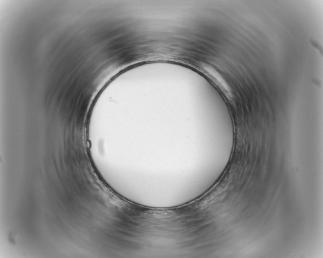 X0000093361340200711081506