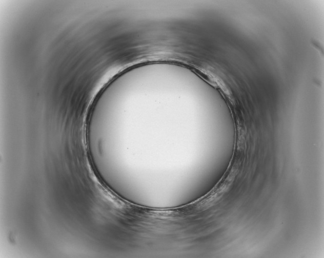 X0000093361342200711081506