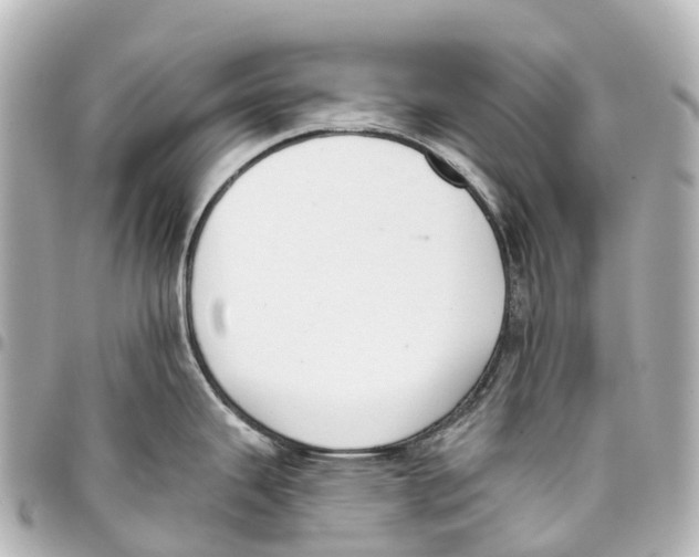 X0000093361343200711081506