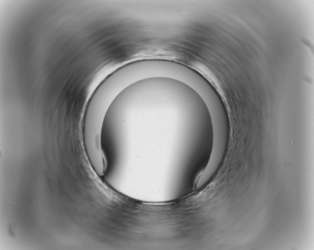 X0000093361344200711081506