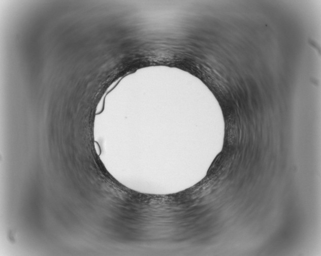 X0000093361345200711081506