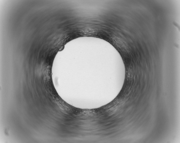 X0000093361346200711081506
