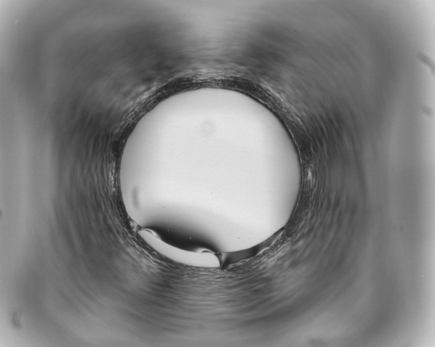 X0000093361348200711081506
