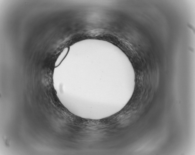 X0000093361349200711081506