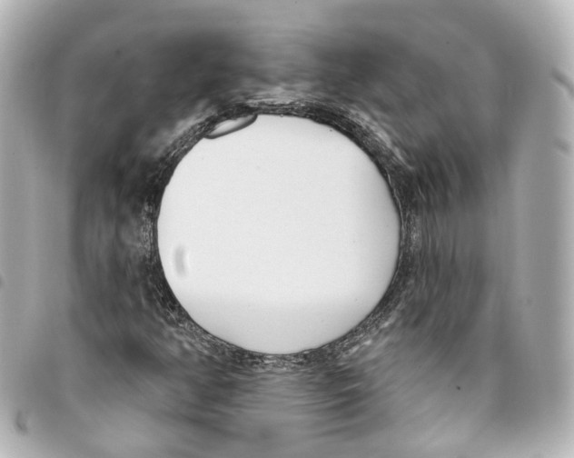 X0000093361350200711081506
