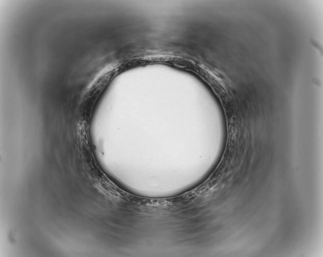 X0000093361351200711081506
