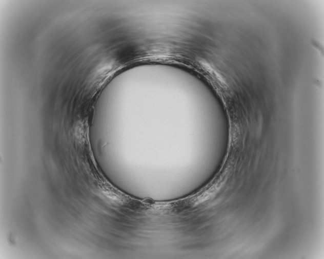 X0000093361353200711081506