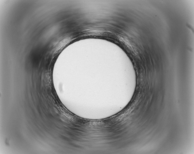 X0000093361354200711081506