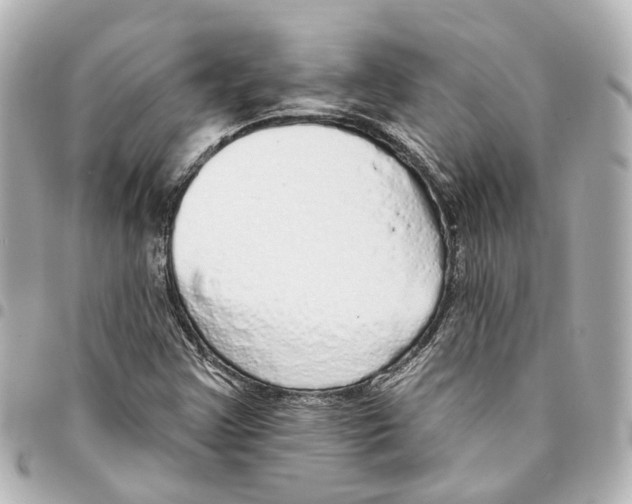 X0000093361355200711081506