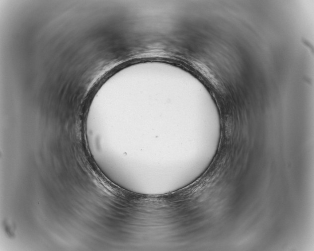 X0000093361356200711081506