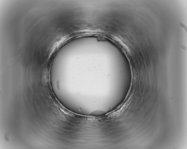 X0000093361357200711081506