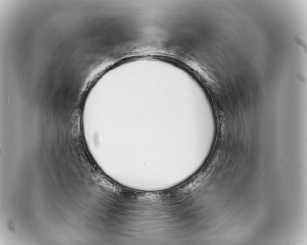 X0000093361358200711081506