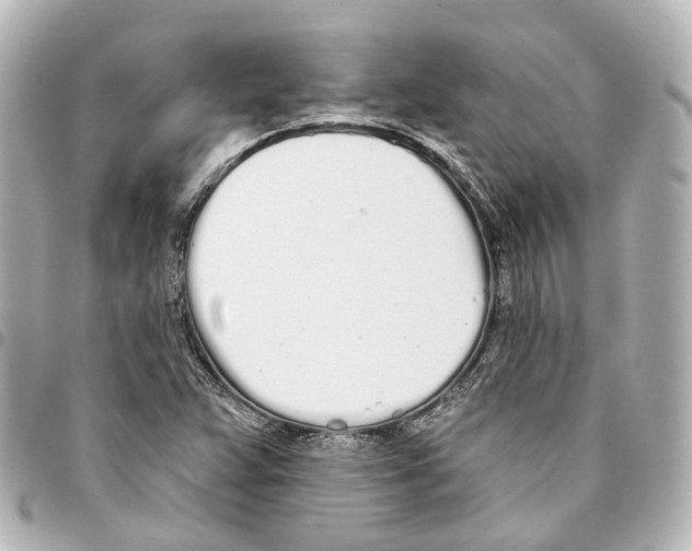 X0000093361359200711081506