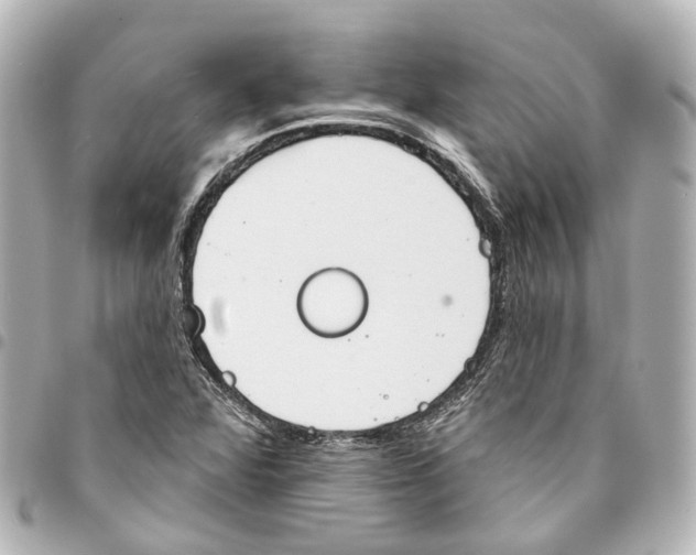 X0000093361360200711081506