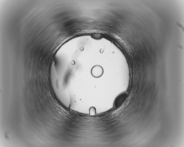 X0000093361361200711081506