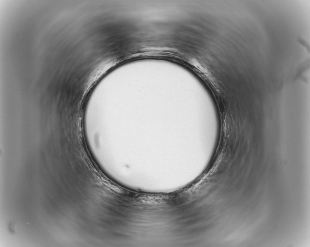 X0000093361362200711081506
