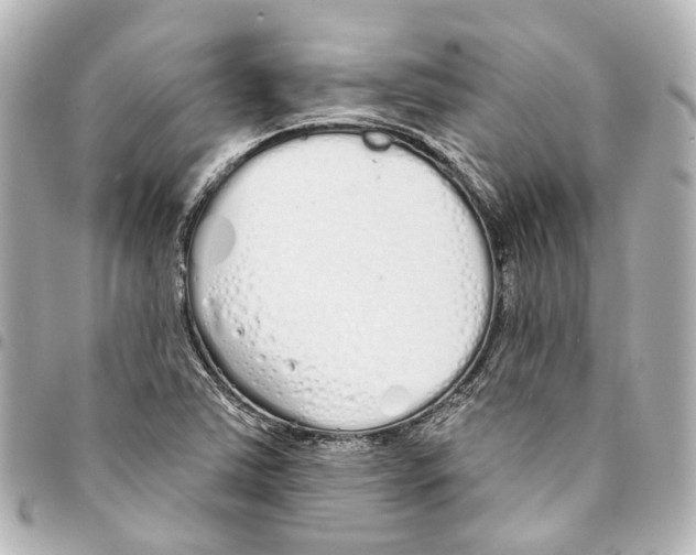 X0000093361363200711081506