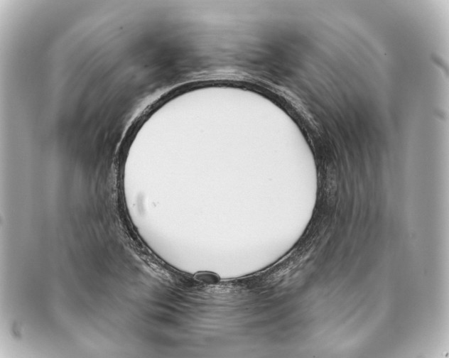 X0000093361364200711081506