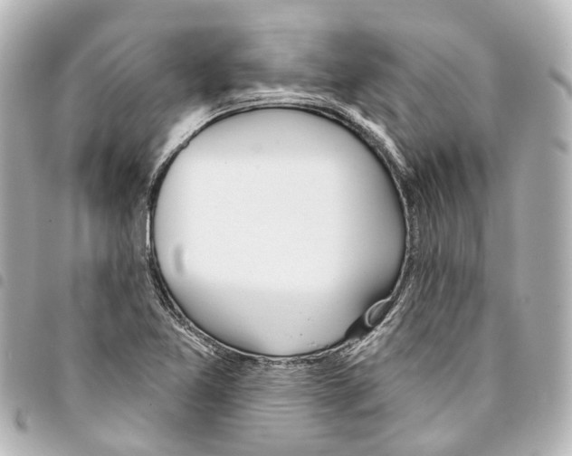 X0000093361365200711081505