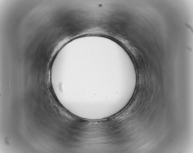 X0000093361366200711081505