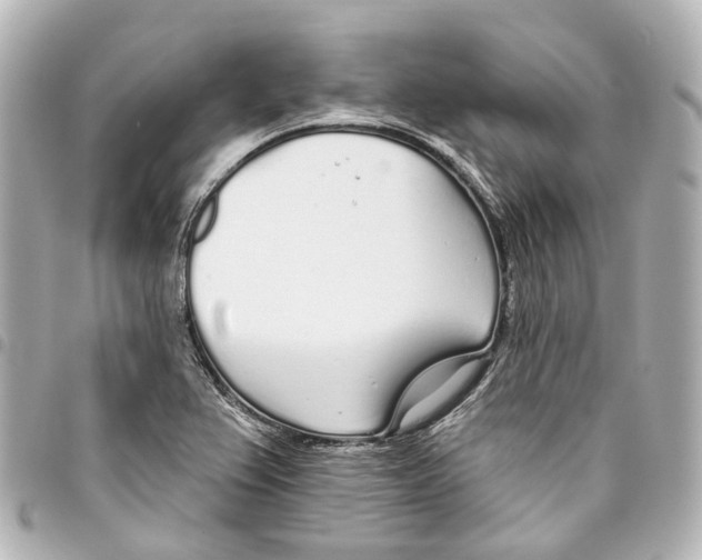 X0000093361367200711081505