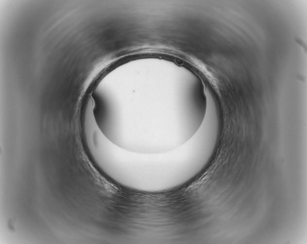 X0000093361368200711081505