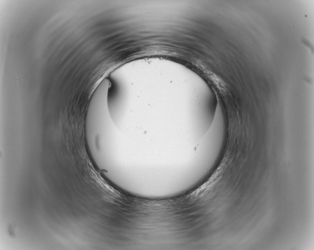 X0000093361369200711081505