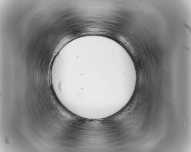 X0000093361370200711081505