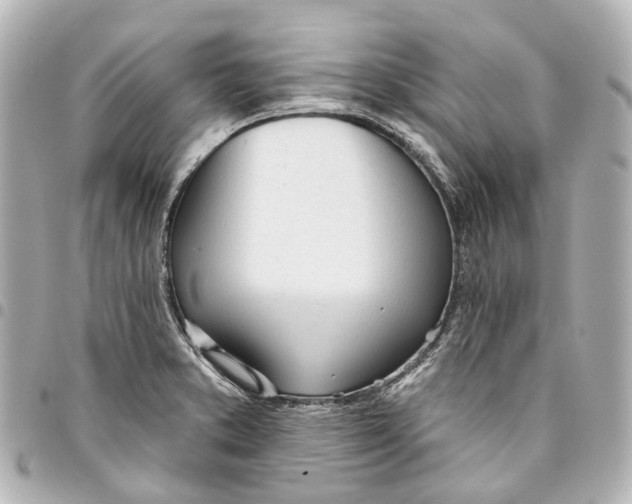 X0000093361373200711081505