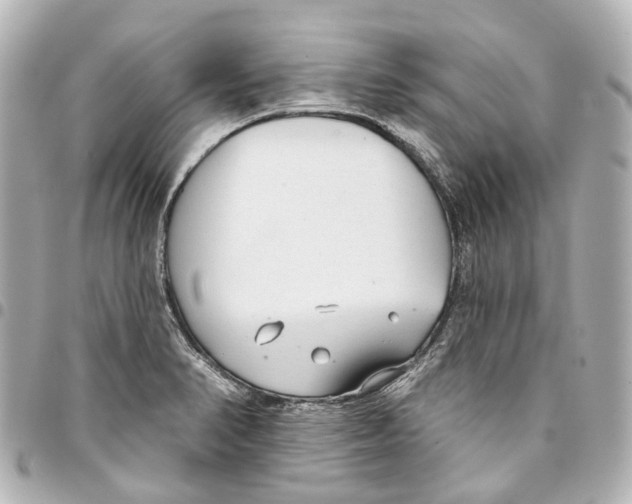 X0000093361374200711081505