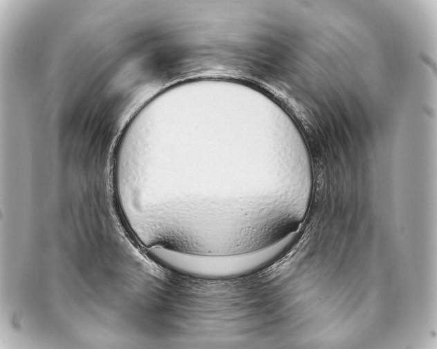 X0000093361375200711081505