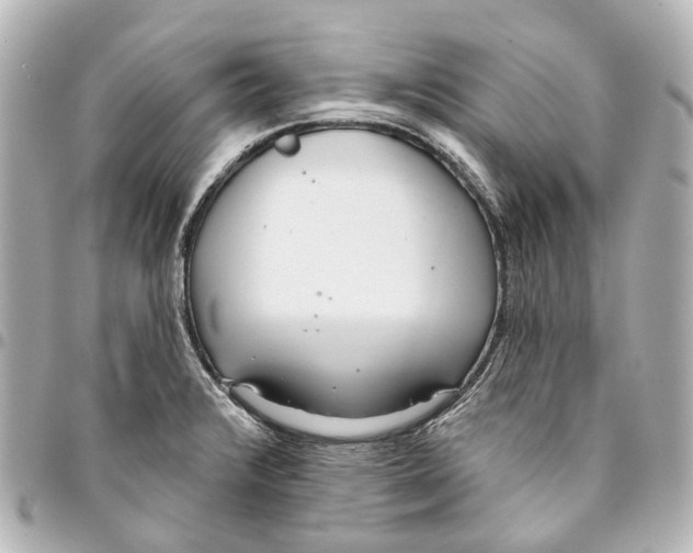 X0000093361376200711081505