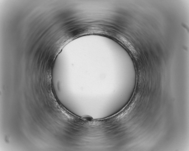X0000093361377200711081505