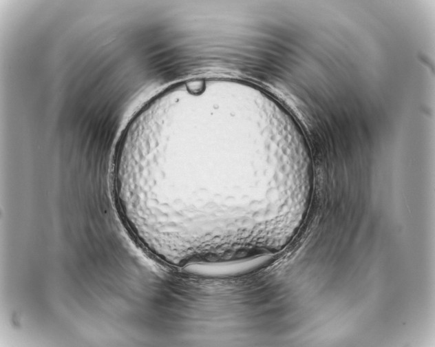 X0000093361379200711081505