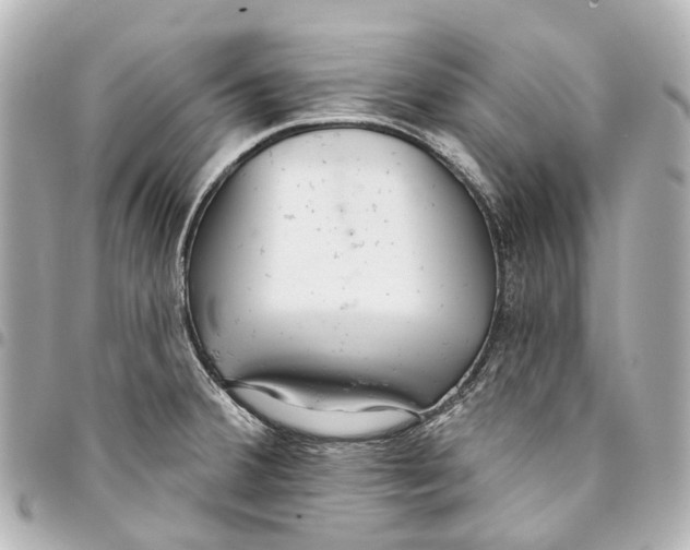 X0000093361380200711081505