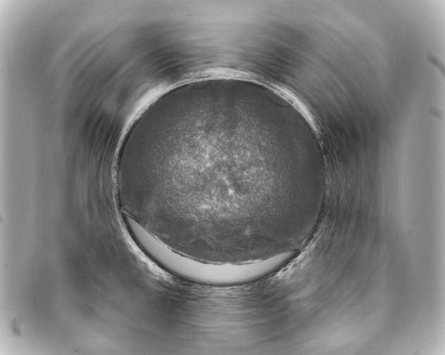 X0000093361381200711081505