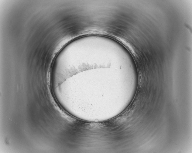 X0000093361383200711081505