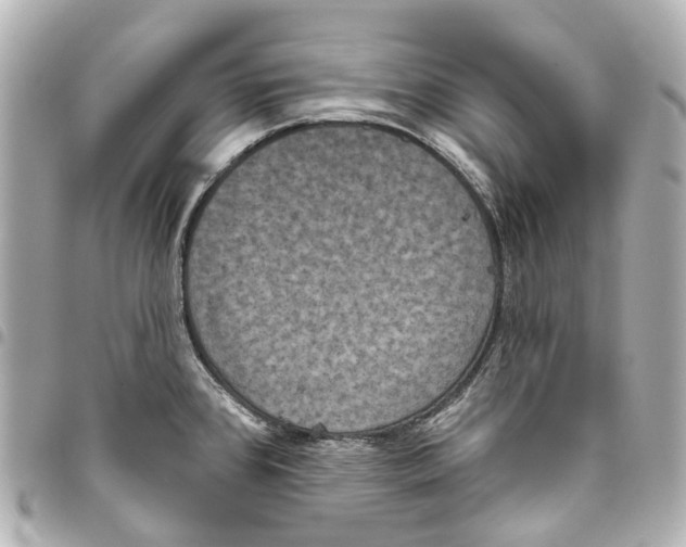 X0000093361384200711081505