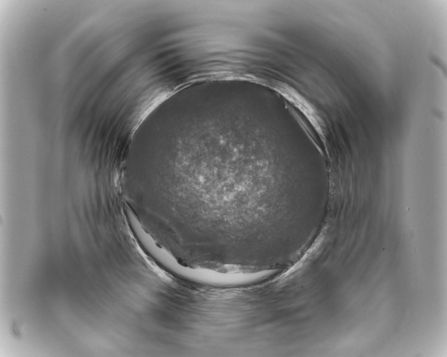 X0000093361385200711081505