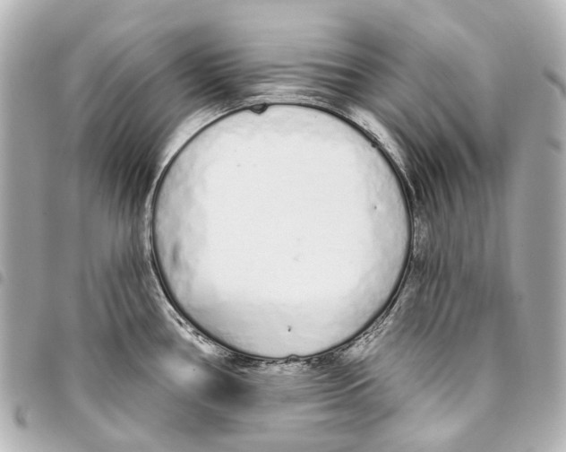 X0000093361386200711081505