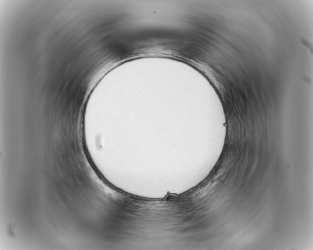 X0000093361387200711081505
